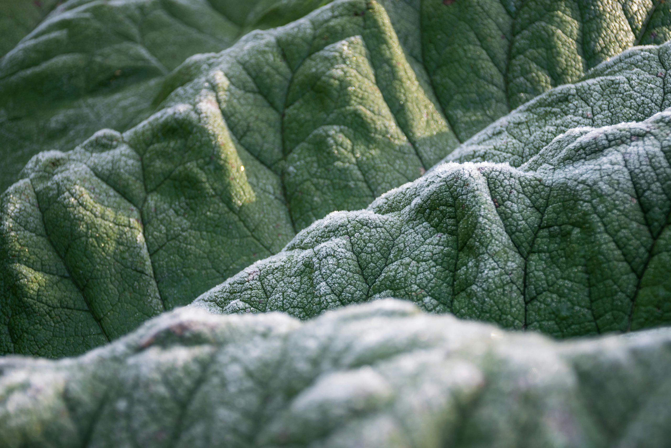 Understanding How Your Environment Shapes Your Behavior