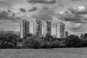 Understanding the Potential of Agricultural Real Estate