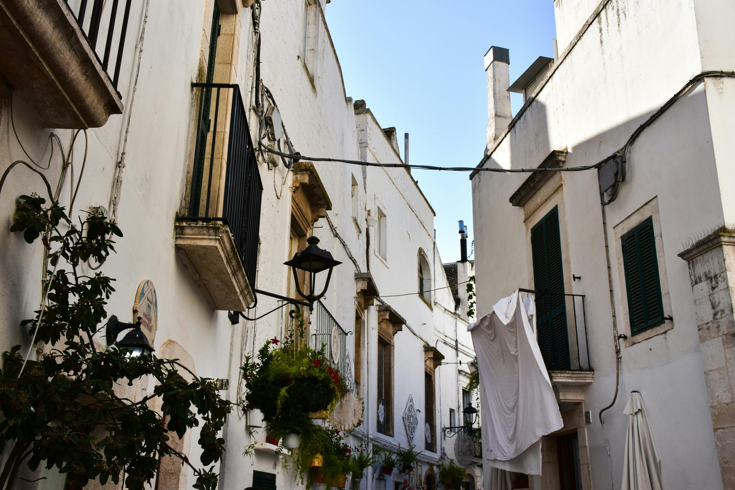 Exploring the Economics of Monopoly and Competition