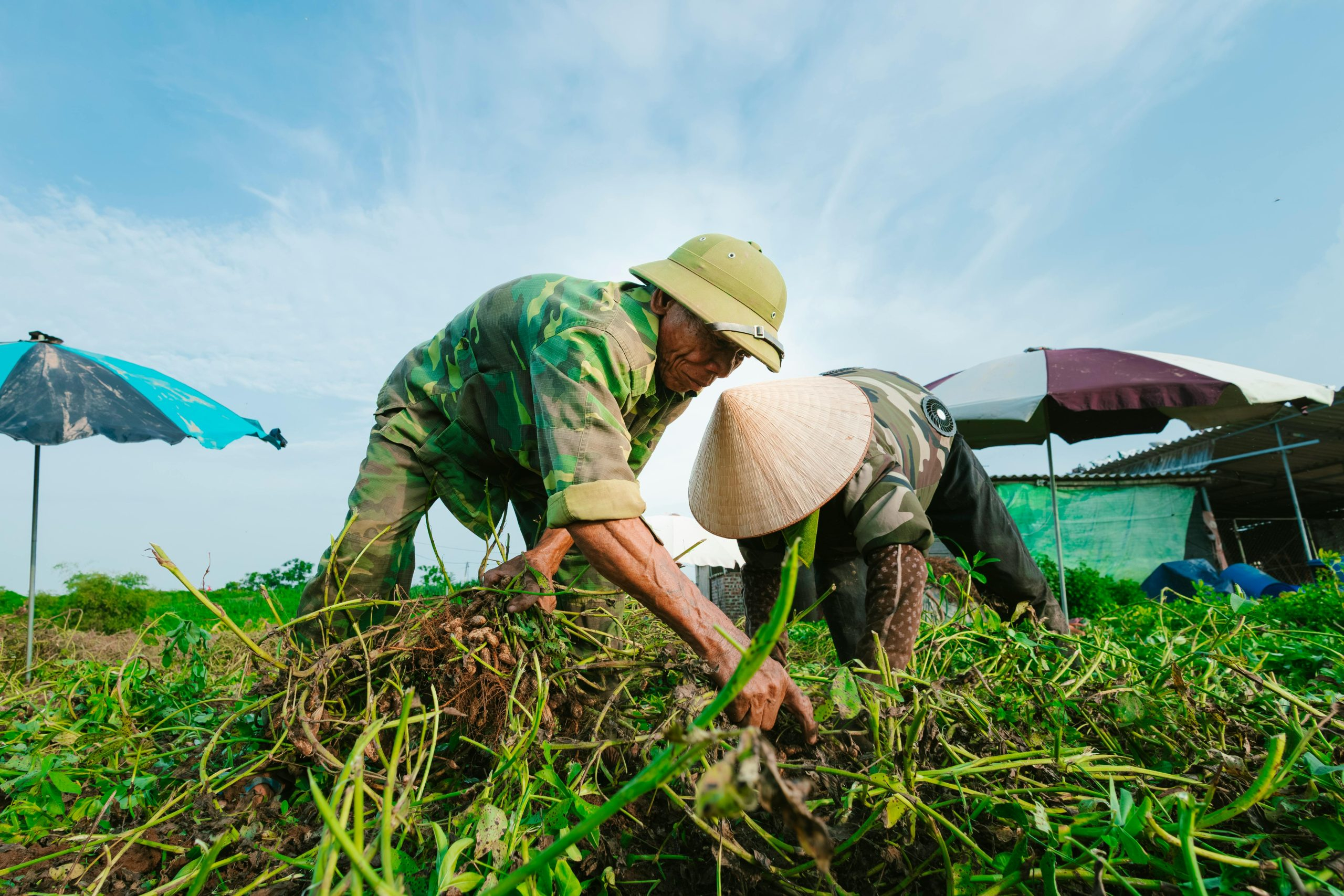 The Importance of Researching Brands' Labor Practices