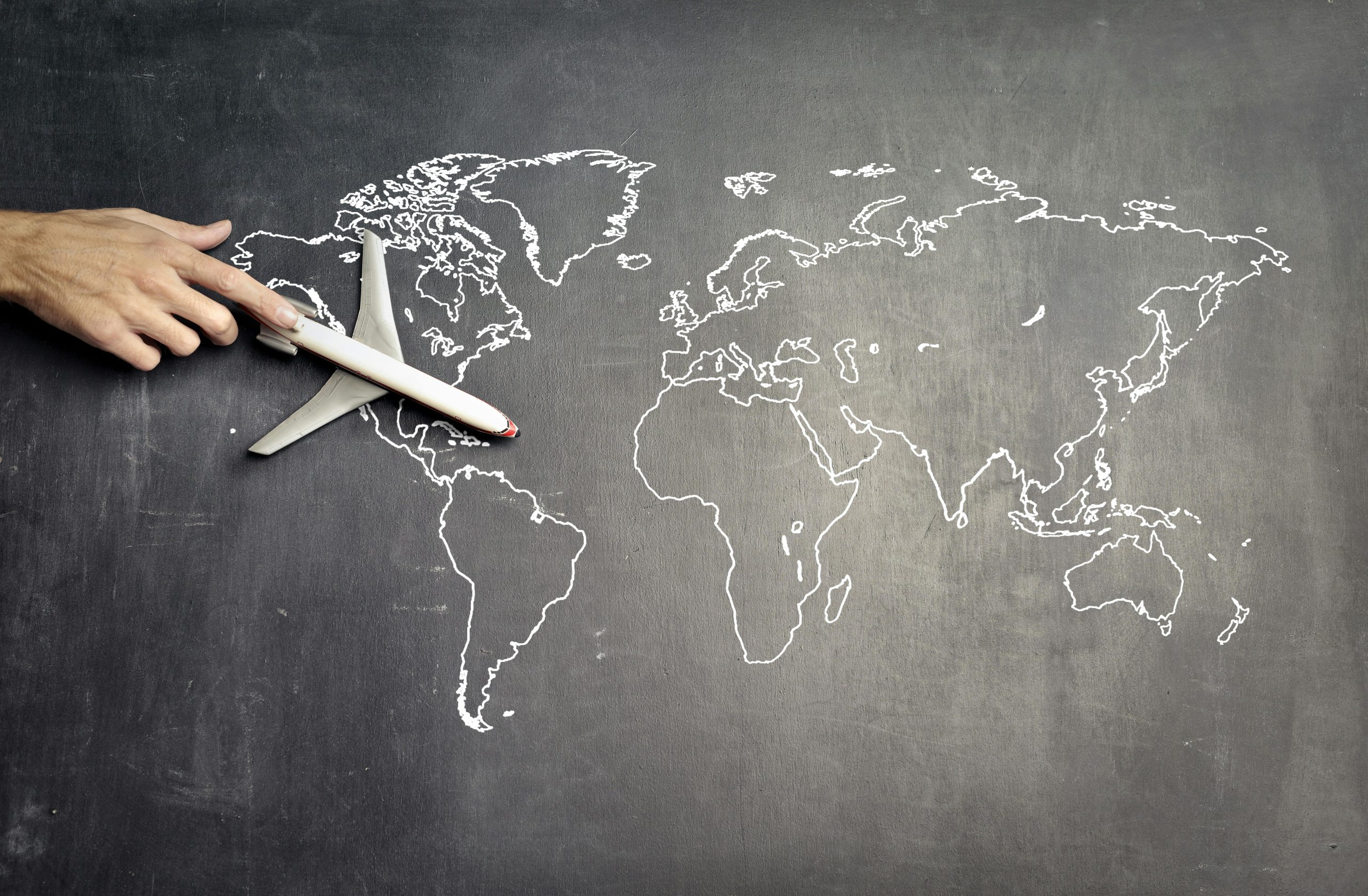 Exploring the World of Cheese Making: From Milk to Curd