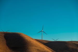 The Future of Sustainability Certifications in the Industry