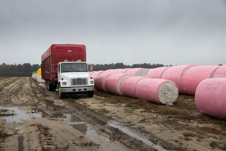 The Impact of Supply Chain Issues on Product Availability